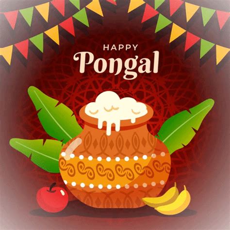 Pongal Festival GIFs - Get the best GIF on GIPHY