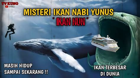 IKAN NABI YUNUS / Ikan NUN - Ikan terbesar di dunia - YouTube