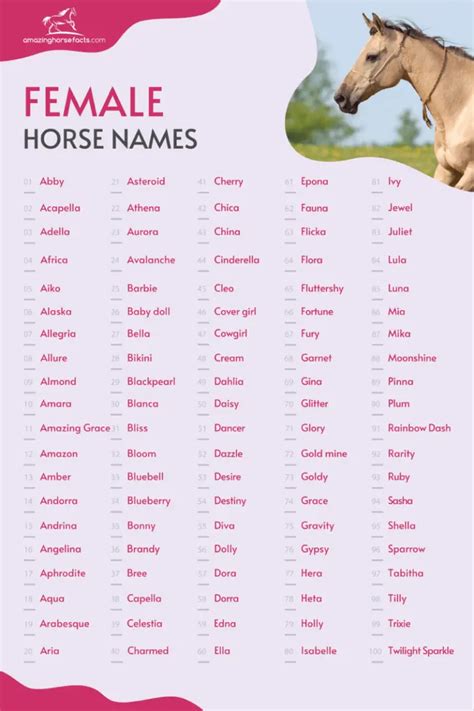 655+ Female Horse Names (Beautiful Mare Or Filly Ideas)