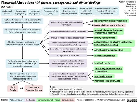 Placental Abruption | Calgary Guide