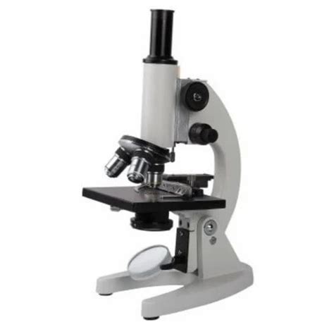 Compound Microscope at ₹ 3800 | Paharganj | New Delhi | ID: 18757128730