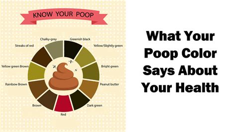 Poo Colour Chart