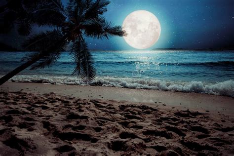 Beautiful Fantasy Tropical Beach with Star and Full Moon in Night Skies ...