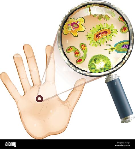 Magnifier bacteria and virus cells Stock Vector Image & Art - Alamy