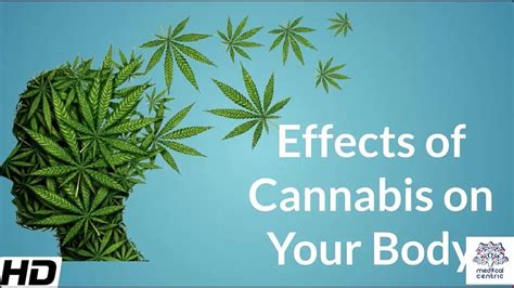 Effects of Cannabis on your body. - YouTube