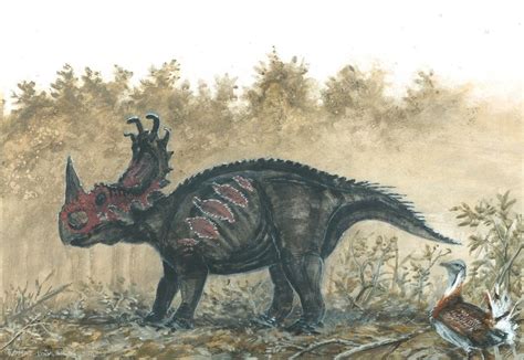 Sinoceratops Pictures & Facts - The Dinosaur Database