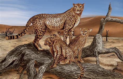 Cheetah Family Tree Drawing by Peter Piatt