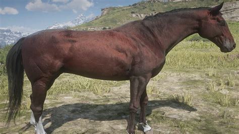 The Best Horse In RDR2 | Finding and Taming the Best Horse