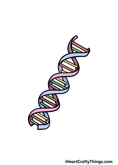 Dna Easy Pictures to Draw of Dna - Hall Kintalind