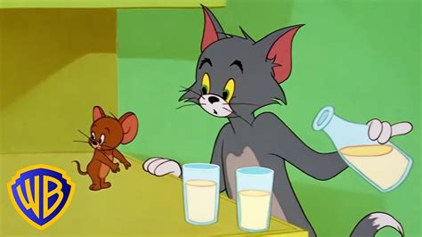 Tom and jerry episodes cartoon - bingerko