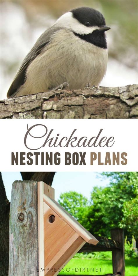 Make a Chickadee Nesting Box - Empress of Dirt