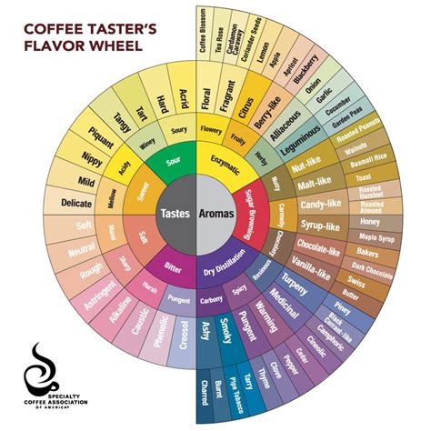 What is a coffee flavor wheel? - Coffee Mill