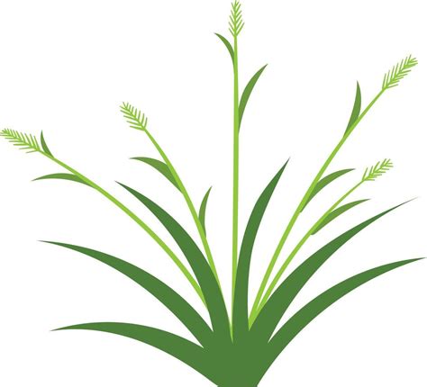 grass icon design template vector isolated white background. grass icon ...