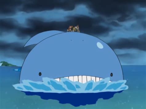 25 Fun And Interesting Facts About Wailord From Pokemon - Tons Of Facts