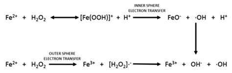 FENTON REACTION DRIVEN BY IRON LIGANDS