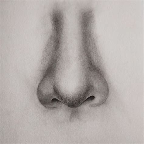 Sketch How To Draw A Nose - erposanocomiendoyjugando