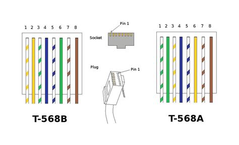 Download Cat 6 Cable Connector Diagram Gif – Pets House