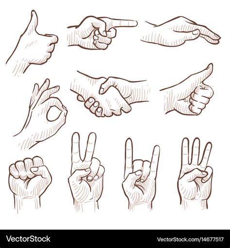 Hand drawing sketch man hands showing different Vector Image