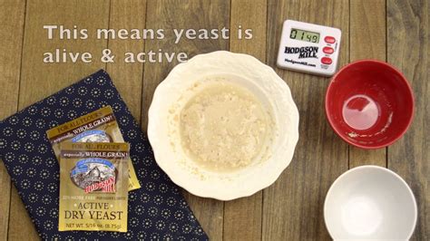 Yeast Proofing - YouTube