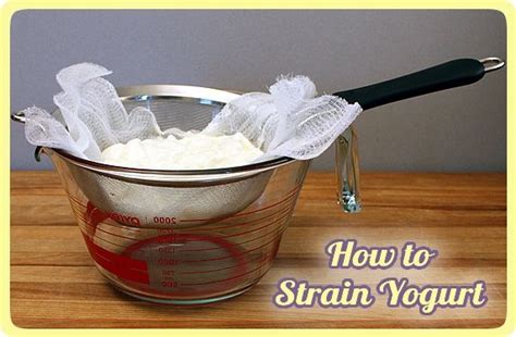 Strained yogurt - Alchetron, The Free Social Encyclopedia