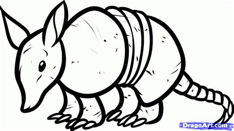 How to Draw an Armadillo, Step by Step, Rainforest animals, Animals ...