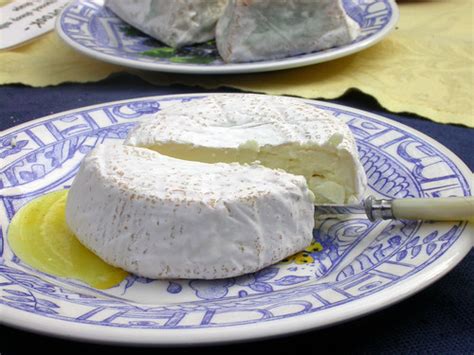 Sheep milk cheese | Susan S. | Flickr