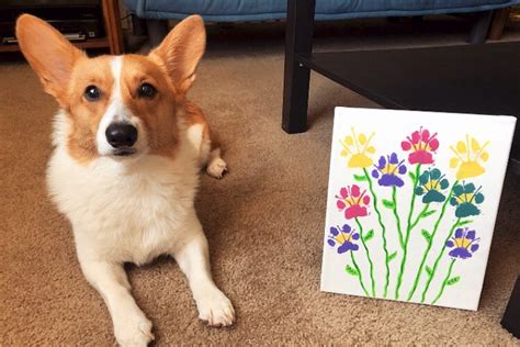 Paw Print Art: DIY Flower Painting For Dogs – American Kennel Club