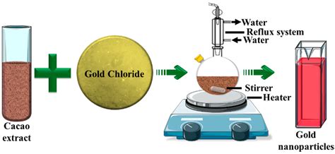 Gold Nanoparticle Synthesis