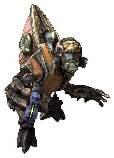 Unggoy Minor | Halo Nation | FANDOM powered by Wikia