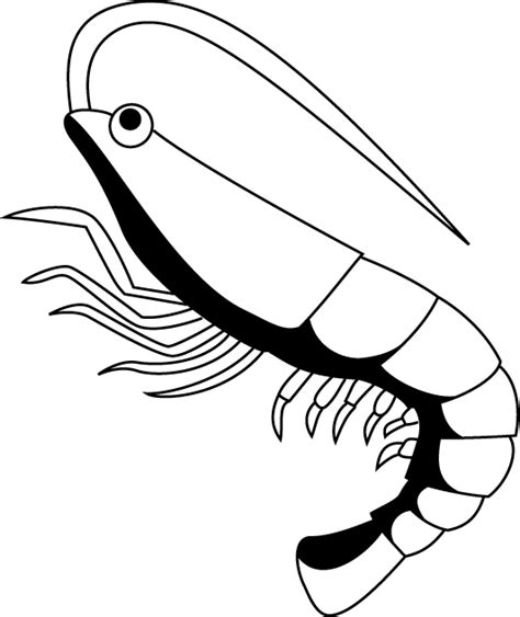 Free Shrimp Clipart Black And White, Download Free Shrimp Clipart Black ...