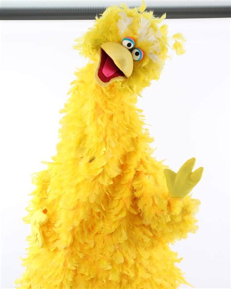 This Big Bird Costume’s Covered in 3000 Feathers « Adafruit Industries ...