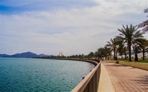 Everything about Kalba Corniche Park: Location, Timings & more – MyBayut