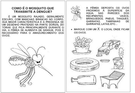 Sobre O Mosquito Da Dengue - Image to u