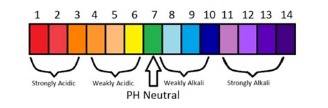 pH & pOH - Acids And Bases 101: The Basics Of Chemistry