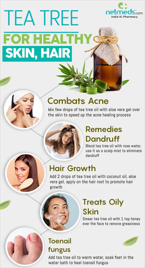 Tea Tree Oil: 5 Splendid Tea Tree Oil DIY Recipes For Overall Beauty ...