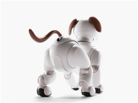 Sony aibo - IMBOLDN