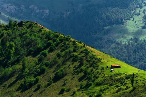 Masal, Iran: A Dreamlike Tranquility for Nature Lovers - To Iran Tour