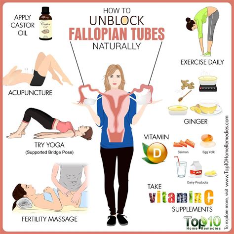 [DIAGRAM] Diagram Of Fallopian Tube - MYDIAGRAM.ONLINE