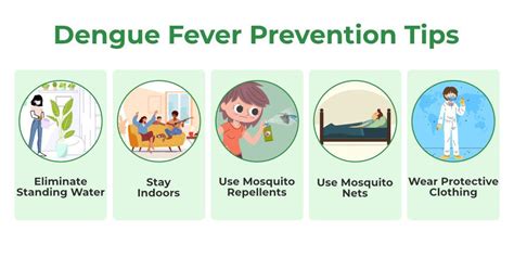 Dengue Fever Causes Symptoms Treatment And Prevention Part 1 – NBKomputer