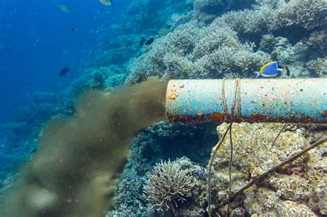 Marine Pollution | National Geographic Society