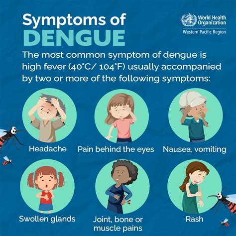 Dengue Fever Symptoms Causes And Treatment – NBKomputer