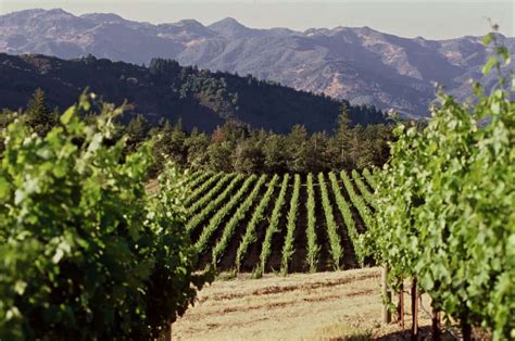 Best Napa Wineries To Visit 2024 - Leah Sharon