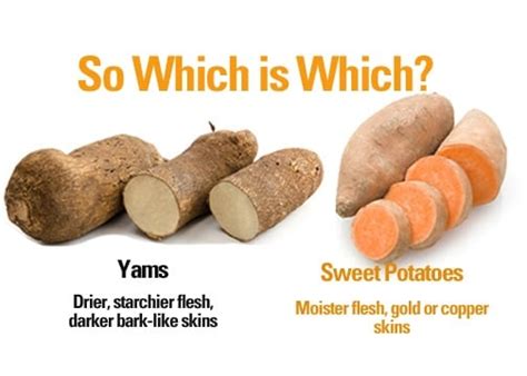 Yam Or Sweet Potato - How Do You Know Which Is Which? - Farmers ...