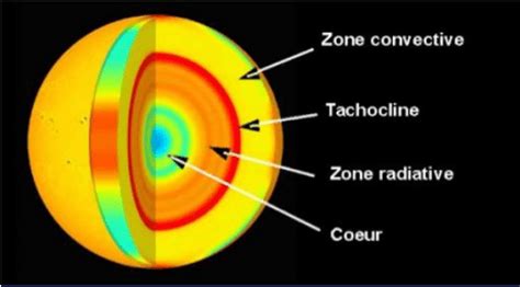 Composition of the Sun showing a cut along the radius of the difference ...