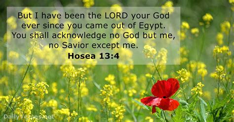 May 30, 2017 - Bible verse of the day - Hosea 13:4 - DailyVerses.net