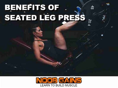 Seated Leg Press: Benefits, Muscles Worked, & Best Machines | Noob Gains