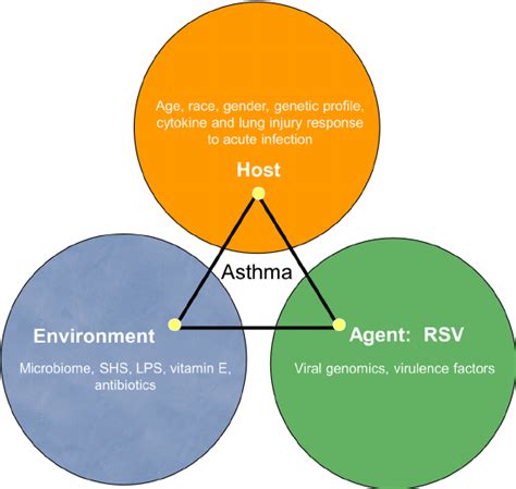 Application to Chronic Disease | Models and Mechanisms of Public Health