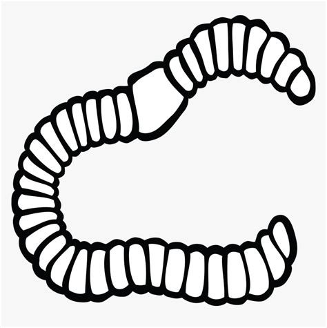 Earthworm Clip Art - Worm Black And White Clipart, HD Png Download ...