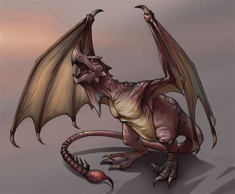 Wyvern (Dragonology) | Dragons | Fandom powered by Wikia