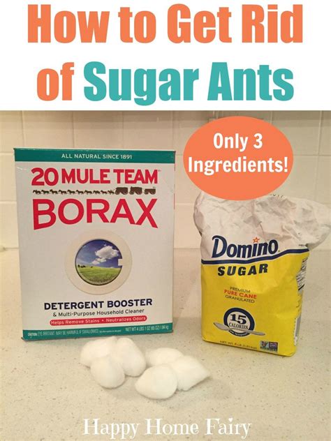 Borax Ant Killer Recipe Cotton Balls